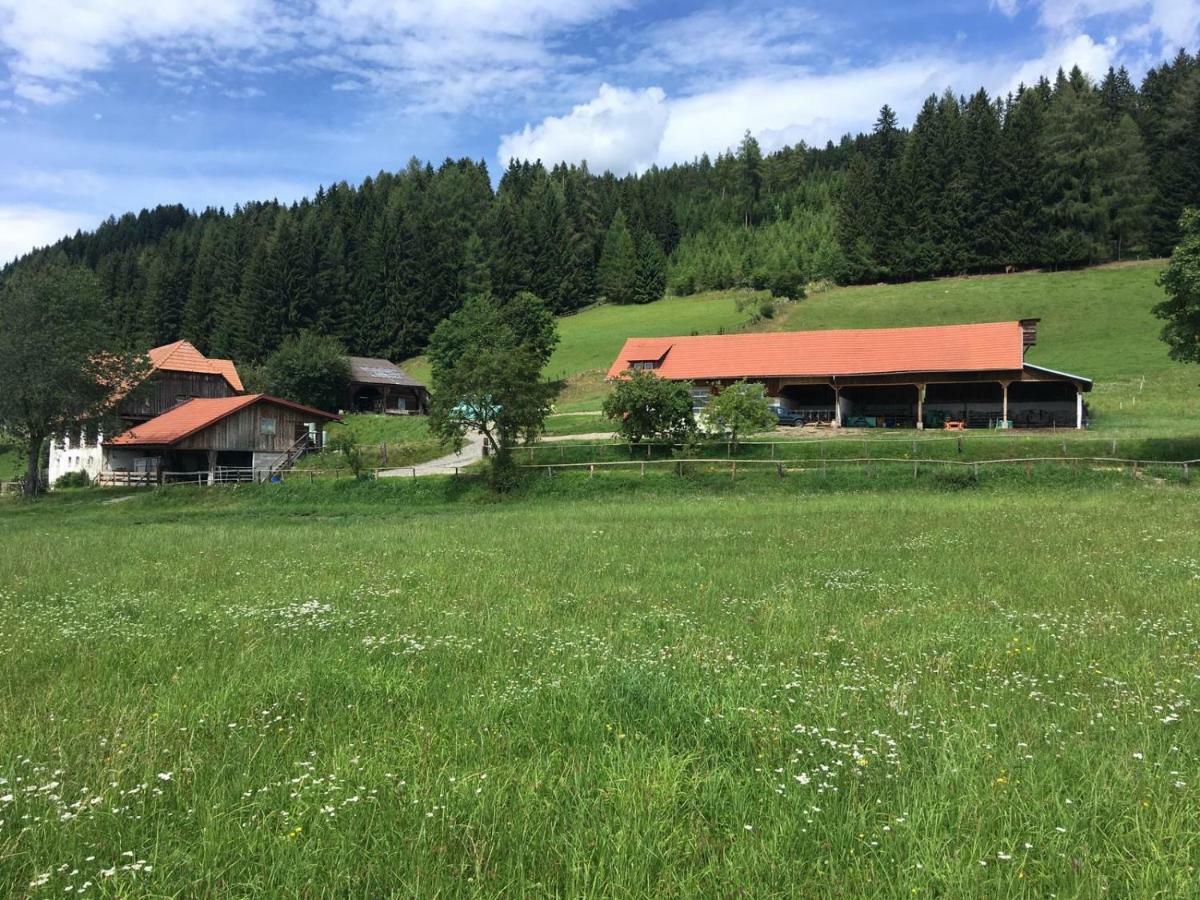 Apartamento Urlaub Am Moarbauerhof Mühlen Exterior foto